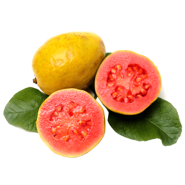 Carousel Main Image 1