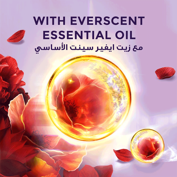 Carousel Main Image 4