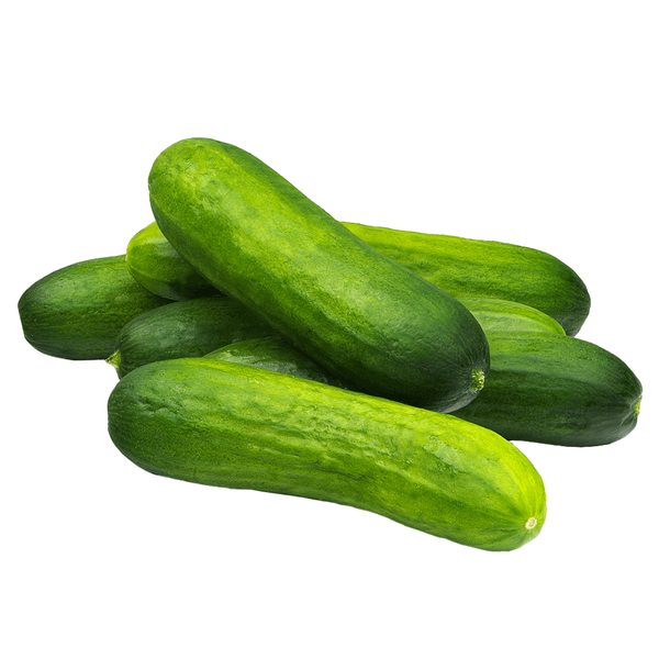 Carousel Main Image 1