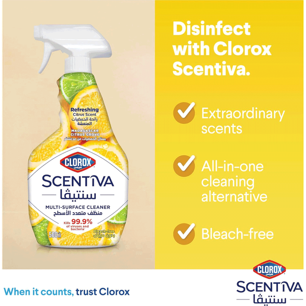 Carousel Main Image 2