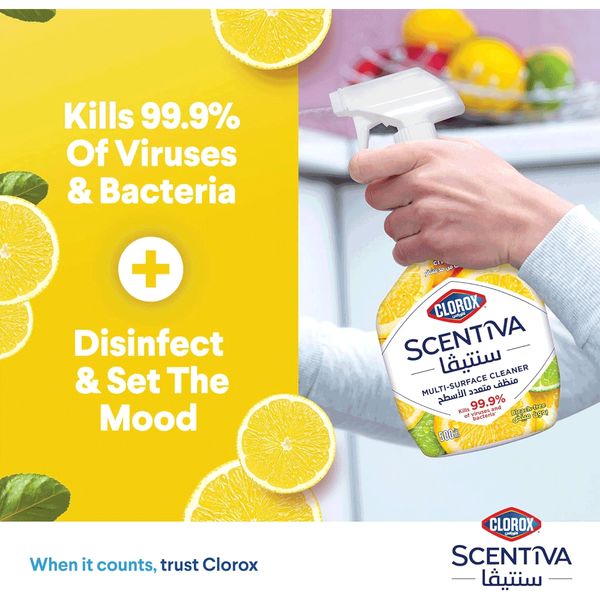 Carousel Main Image 4