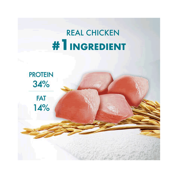 Carousel Main Image 4