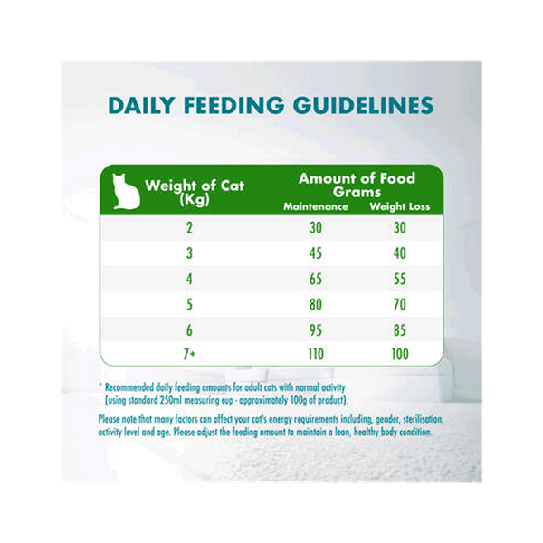 Carousel Main Image 7