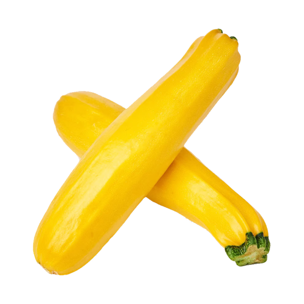 Carousel Main Image 1