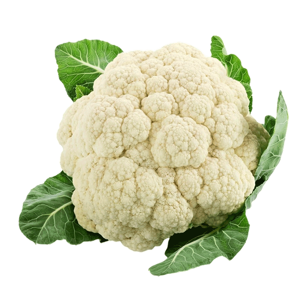 Carousel Main Image 1