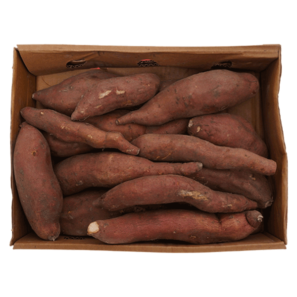 Carousel Main Image 1