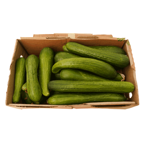 Carousel Main Image 1