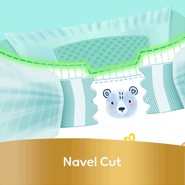 Carousel Main Image 6