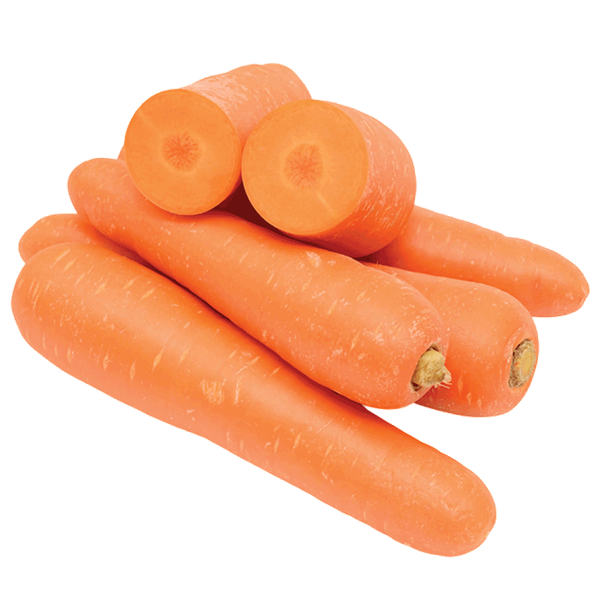 Carousel Main Image 1