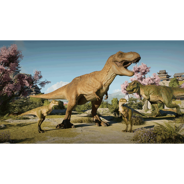Carousel Main Image 4
